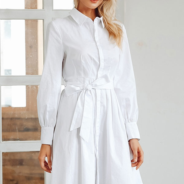 Office Shirt Dress | Style Limits